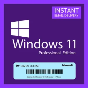 Windows 11 Pro
